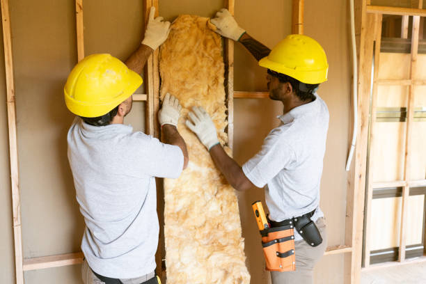 Best Eco-Friendly or Green Insulation Solutions  in Dewitt, AR